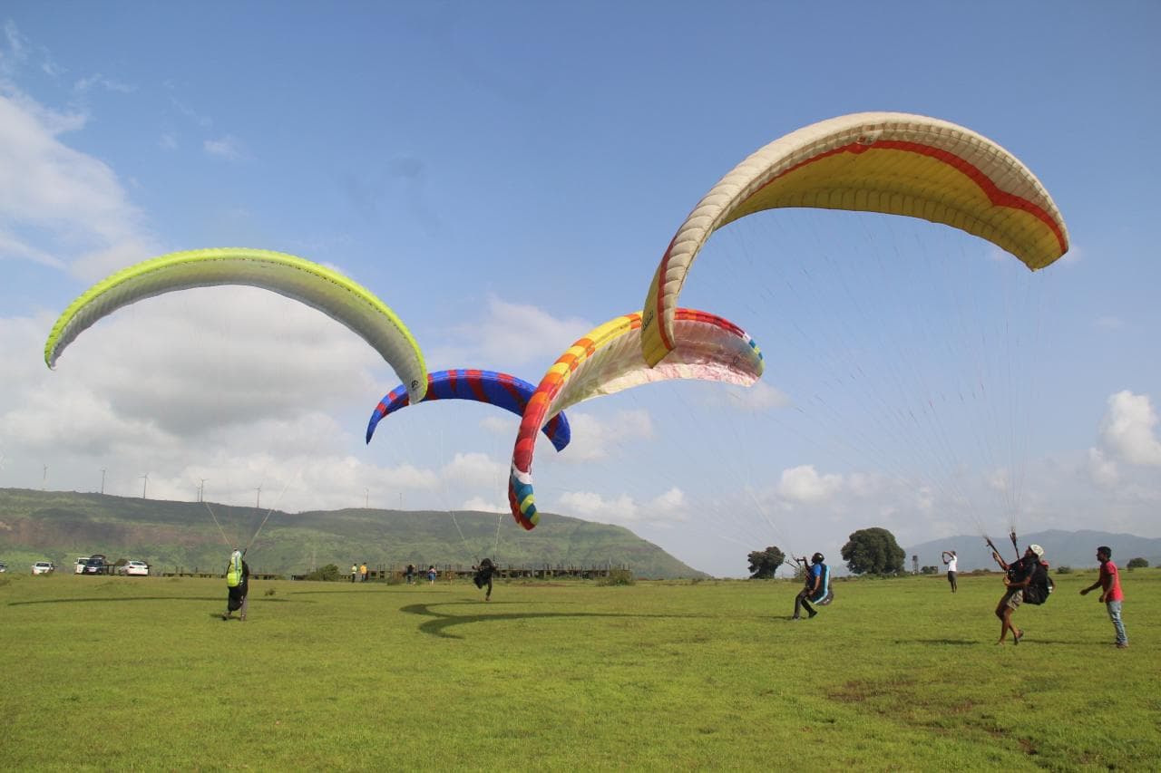Paragliders (Wings)