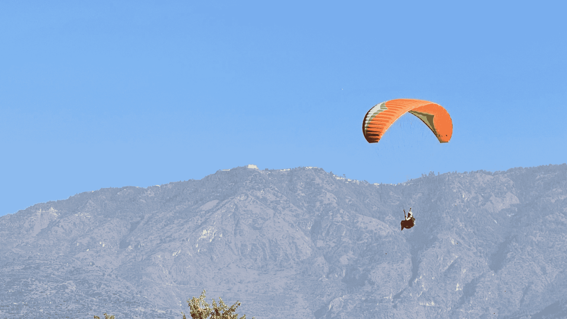 Paragliding Freedom