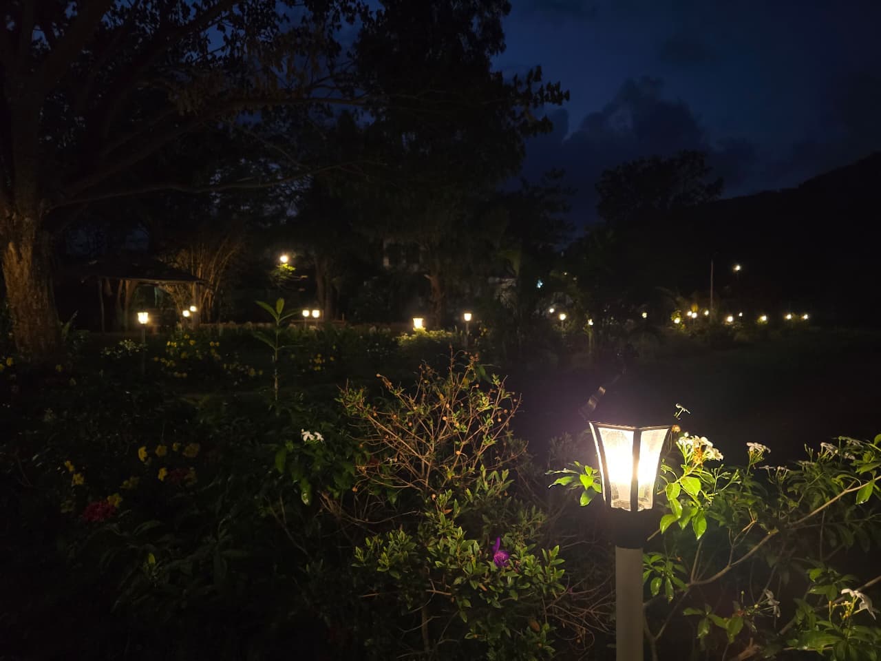 Bonfire Night at Lakeside Mantra Kamshet